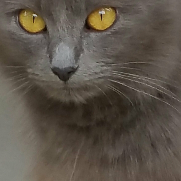 Meet your Posher, Kay - Picture 1 of 1